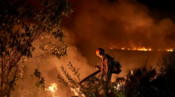 Los incendios en el Pantanal de Brasil se disparan en medio de la ola de calor que afecta al país