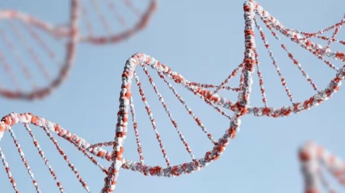 La FDA aprobó el primer tratamiento médico basado en la tecnología de edición genética