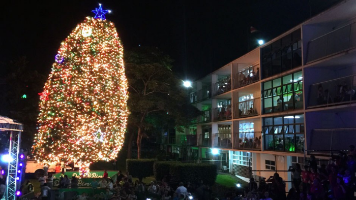 15 mil bombillos iluminan ‘Arbolito de Navidad’ en el Hospital Nacional de Niños