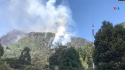 Colombia trata de controlar incendios forestales, Bogotá continúa en alerta por altas temperaturas
