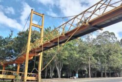 Maquinaria ya trabaja para remover puente peatonal tras incidente que mantiene cierre a la altura del Parque de la Paz