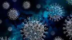 Covid-19 es el virus con mayor circulación actualmente en el país