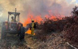 Bomberos reportan dos nuevos incendios forestales en Guanacaste