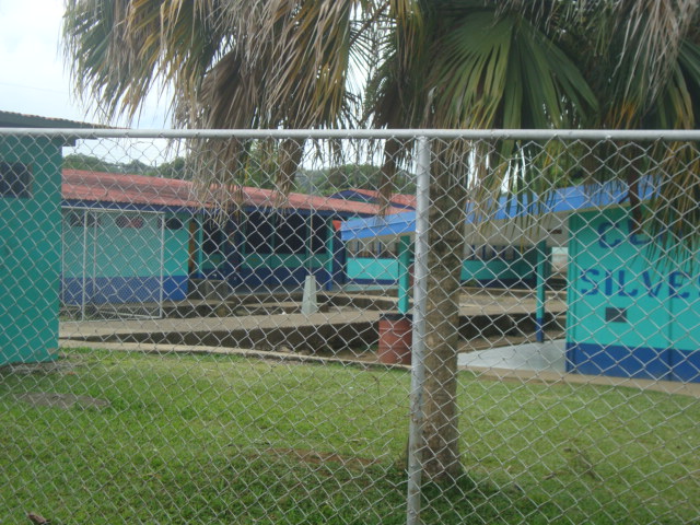 Escuela en Siquirres donde se dio una balacera.