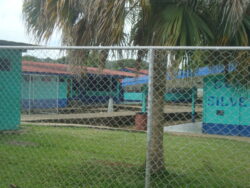 Tres menores de edad resultaron heridos por arma de fuego afuera de centro educativo en Siquirres
