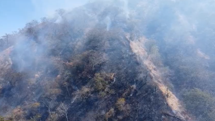 Costa Rica ya registra 16 incendios forestales este año: El más reciente fue en Carrillo de Guanacaste