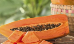 Precio de la papaya disminuyó 30% en mercados y 5% en ferias del agricultor