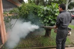 Salud asigna agentes sanitarios que brindarán asesorías para eliminar criaderos del dengue
