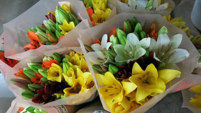 Día de San Valentín: Floricultores enfrentan retos por Fenómeno del Niño