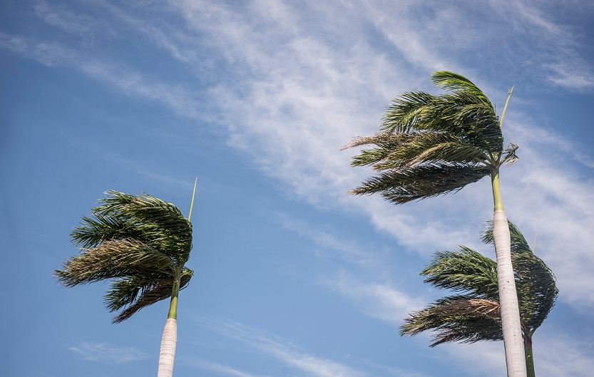 IMN pide precaución por posible afectación del viento en techos, cableado eléctrico, rótulos y árboles