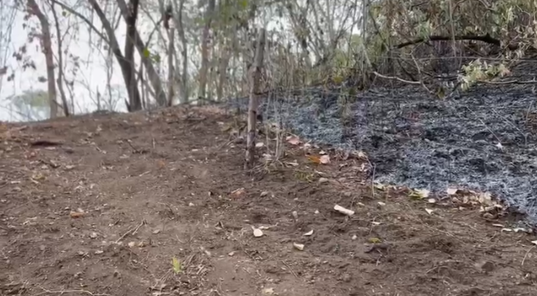Bomberos continúan labores para controlar y liquidar incendio forestal en Isla Chira