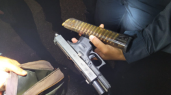 Fuerza Pública decomisó en promedio más de un arma de fuego por día en Limón en lo que va del año
