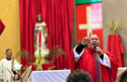 Iniciativa declararía al Padre Sergio Valverde como “ciudadano distinguido” de Costa Rica