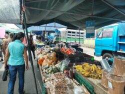 Feria del Agricultor de Guápiles con gente comprando productos.