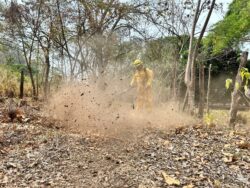 Incendio forestal en Isla Chira alcanzó las 300 hectáreas afectadas
