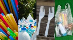 Salud explica diferencias en manejo de pajillas, bolsas y botellas por Ley de plástico de un solo uso