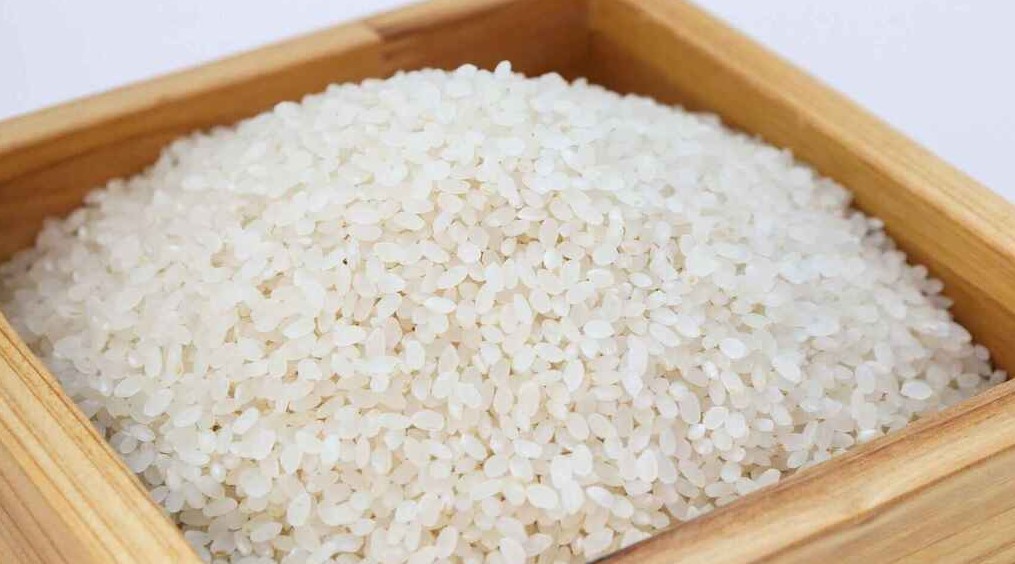 Importadores y productores de arroz se contradicen respecto a variaciones en precios