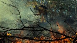 Bomberos estiman incremento de hasta 30% en costos operativos por atención de incendios forestales