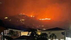 Cantidad de incendios forestales llega a 80 y se convierte en la más alta de los últimos 10 años