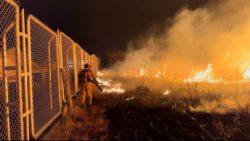 8 de cada 10 hectáreas afectadas por incendios forestales se dieron en Guanacaste