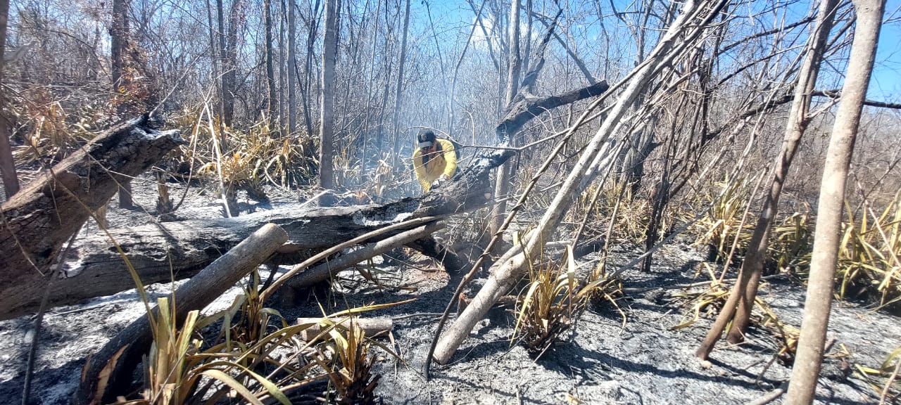 8 incendios han afectado la Reserva Biológica Lomas de Barbudal este año