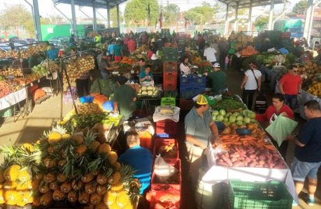 Aguacate hass nacional y tomate aumentaron su precio en las Ferias del Agricultor