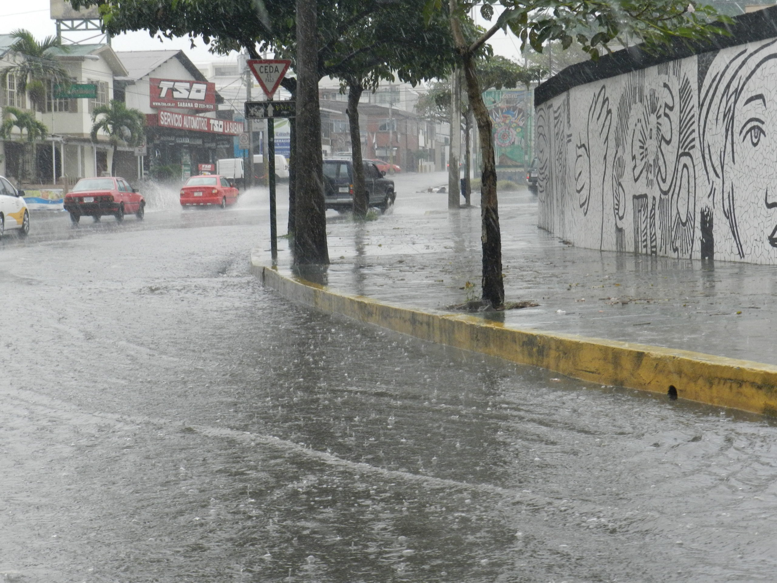 Época lluviosa llegará en una semana al Pacífico Sur: CNE pide prepararse para los aguaceros