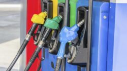 Consumo de gasolina regular durante febrero aumentó en 44 millones de litros
