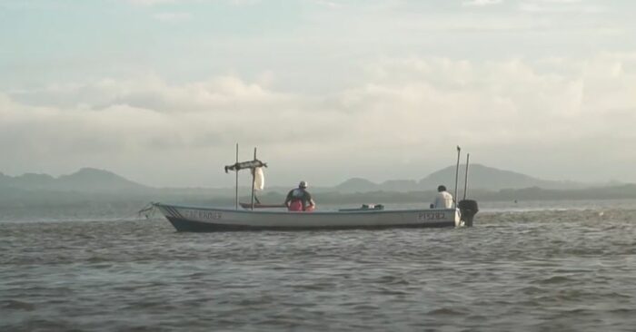Organización de pescadores denuncia aparente irrespeto a veda en Golfo de Nicoya
