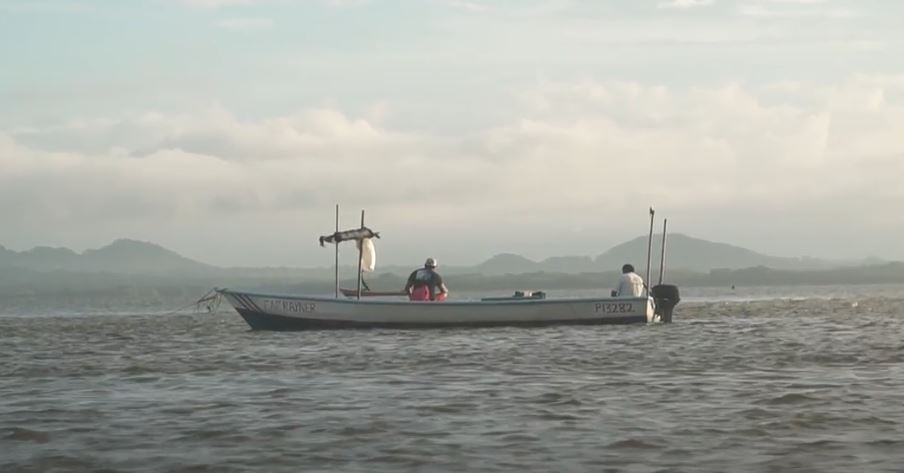 Organización de pescadores denuncia aparente irrespeto a veda en Golfo de Nicoya