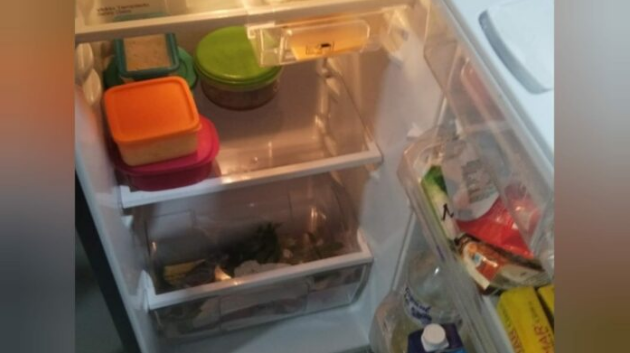 Nutricionistas piden evitar almacenar muchos alimentos o estar abriendo la refrigeradora por cortes de electricidad
