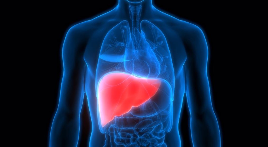 Muertes por enfermedades del hígado incrementaron 50% en comparación con hace 10 años