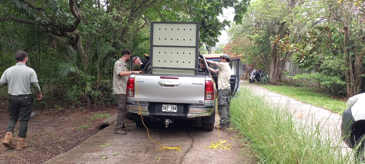 Minae reportó fallecimiento de siete animales que fueron trasladados del Parque Simón Bolívar